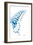 Miss Butterfly Xuthus - X Ray Right White Edition-Philippe Hugonnard-Framed Photographic Print