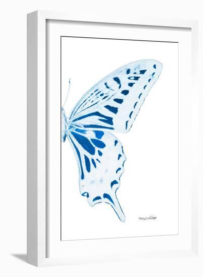 Miss Butterfly Xuthus - X Ray Right White Edition-Philippe Hugonnard-Framed Photographic Print