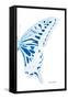 Miss Butterfly Xuthus - X Ray Right White Edition-Philippe Hugonnard-Framed Stretched Canvas