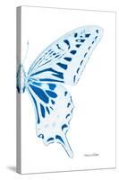 Miss Butterfly Xuthus - X Ray Right White Edition-Philippe Hugonnard-Stretched Canvas