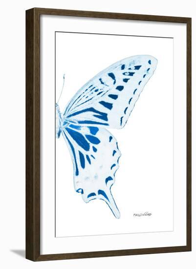 Miss Butterfly Xuthus - X Ray Right White Edition-Philippe Hugonnard-Framed Photographic Print