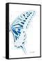 Miss Butterfly Xuthus - X Ray Right White Edition-Philippe Hugonnard-Framed Stretched Canvas
