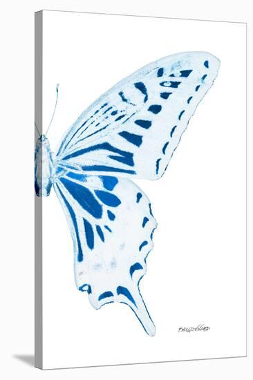 Miss Butterfly Xuthus - X Ray Right White Edition-Philippe Hugonnard-Stretched Canvas