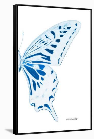 Miss Butterfly Xuthus - X Ray Right White Edition-Philippe Hugonnard-Framed Stretched Canvas