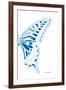 Miss Butterfly Xuthus - X Ray Right White Edition-Philippe Hugonnard-Framed Photographic Print