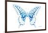 Miss Butterfly Xuthus - X Ray White Edition-Philippe Hugonnard-Framed Photographic Print