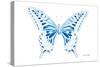 Miss Butterfly Xuthus - X Ray White Edition-Philippe Hugonnard-Stretched Canvas