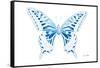 Miss Butterfly Xuthus - X Ray White Edition-Philippe Hugonnard-Framed Stretched Canvas