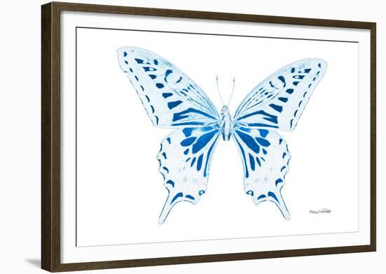 Miss Butterfly Xuthus - X Ray White Edition-Philippe Hugonnard-Framed Photographic Print