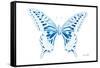 Miss Butterfly Xuthus - X Ray White Edition-Philippe Hugonnard-Framed Stretched Canvas