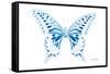 Miss Butterfly Xuthus - X Ray White Edition-Philippe Hugonnard-Framed Stretched Canvas