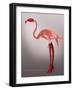 Miss Candycane-Fab Funky-Framed Art Print