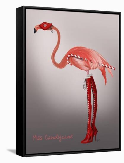 Miss Candycane-Fab Funky-Framed Stretched Canvas