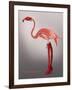 Miss Candycane-Fab Funky-Framed Art Print