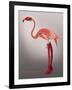 Miss Candycane-Fab Funky-Framed Art Print