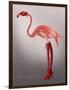 Miss Candycane-Fab Funky-Framed Art Print