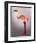 Miss Candycane-Fab Funky-Framed Art Print