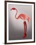 Miss Candycane-Fab Funky-Framed Art Print