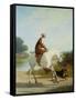Miss Cazenove on a Gray Hunter-Jacques Laurent Agasse-Framed Stretched Canvas