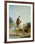 Miss Cazenove on a Gray Hunter-Jacques Laurent Agasse-Framed Giclee Print