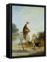 Miss Cazenove on a Gray Hunter-Jacques Laurent Agasse-Framed Stretched Canvas