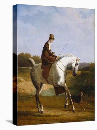 Miss Cazenove on a Grey Hunter, a Dog Running Alongside-Jacques-Laurent Agasse-Stretched Canvas