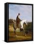Miss Cazenove on a Grey Hunter-Jacques Laurent Agasse-Framed Stretched Canvas