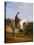 Miss Cazenove on a Grey Hunter-Jacques Laurent Agasse-Stretched Canvas