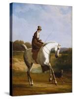 Miss Cazenove on a Grey Hunter-Jacques Laurent Agasse-Stretched Canvas