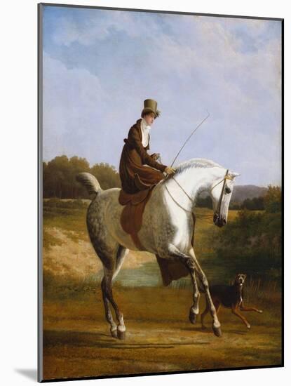 Miss Cazenove on a Grey Hunter-Jacques Laurent Agasse-Mounted Giclee Print