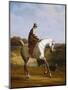 Miss Cazenove on a Grey Hunter-Jacques Laurent Agasse-Mounted Giclee Print