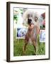 Miss Ellie Competes in World's Ugliest Dog Contest at Sonoma-Marin Fair in Petaluma, California-null-Framed Photographic Print