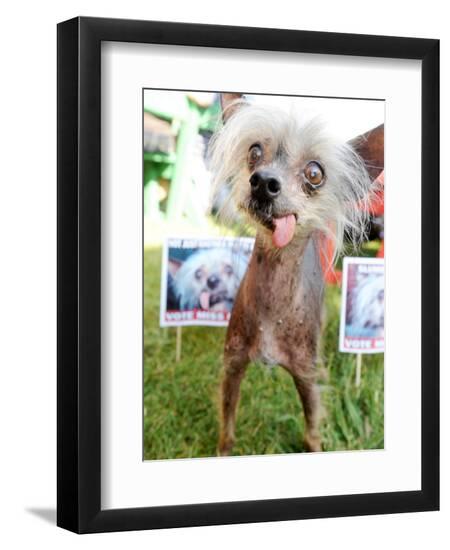 Premium Photographic Print, , large