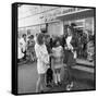 Miss Great Britain at Asda, Rotherham, South Yorkshire, 1972-Michael Walters-Framed Stretched Canvas