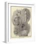 Miss Lillian Russell-null-Framed Photographic Print