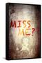 Miss me-null-Framed Stretched Canvas