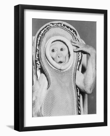 Miss Sam Wearing Space Gear-null-Framed Photographic Print