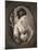 Miss Stephenson, Late 18th Century-W Dickinson-Mounted Giclee Print