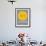 Miss Sunshine-David Brodsky-Framed Art Print displayed on a wall