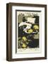 Miss Traumerei, Albert Morris Bagby's New Novel-Monica Reed-Framed Art Print