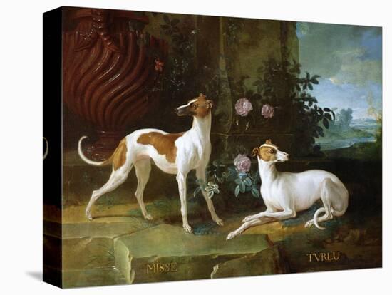 Misse and Turlu, Two Greyhounds of Louis XV-Jean-Baptiste Oudry-Stretched Canvas