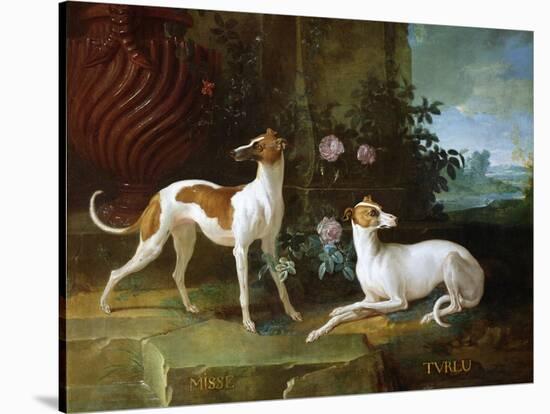 Misse and Turlu, Two Greyhounds of Louis XV-Jean-Baptiste Oudry-Stretched Canvas