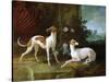 Misse and Turlu, Two Greyhounds of Louis XV-Jean-Baptiste Oudry-Stretched Canvas