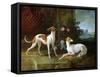 Misse and Turlu, Two Greyhounds of Louis XV-Jean-Baptiste Oudry-Framed Stretched Canvas