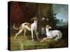 Misse and Turlu, Two Greyhounds of Louis XV-Jean-Baptiste Oudry-Stretched Canvas