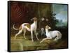 Misse and Turlu, Two Greyhounds of Louis XV-Jean-Baptiste Oudry-Framed Stretched Canvas