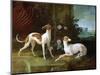 Misse and Turlu, Two Greyhounds of Louis XV-Jean-Baptiste Oudry-Mounted Premium Giclee Print