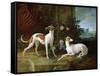 Misse and Turlu, Two Greyhounds of Louis XV-Jean-Baptiste Oudry-Framed Stretched Canvas