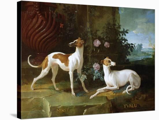 Misse and Turlu, Two Greyhounds of Louis XV-Jean-Baptiste Oudry-Stretched Canvas