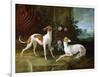 Misse and Turlu, Two Greyhounds of Louis XV-Jean-Baptiste Oudry-Framed Giclee Print